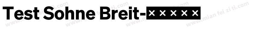 Test Sohne Breit字体转换